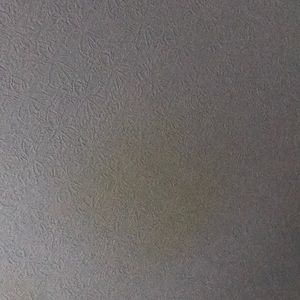 Meet your Posher, Tracey